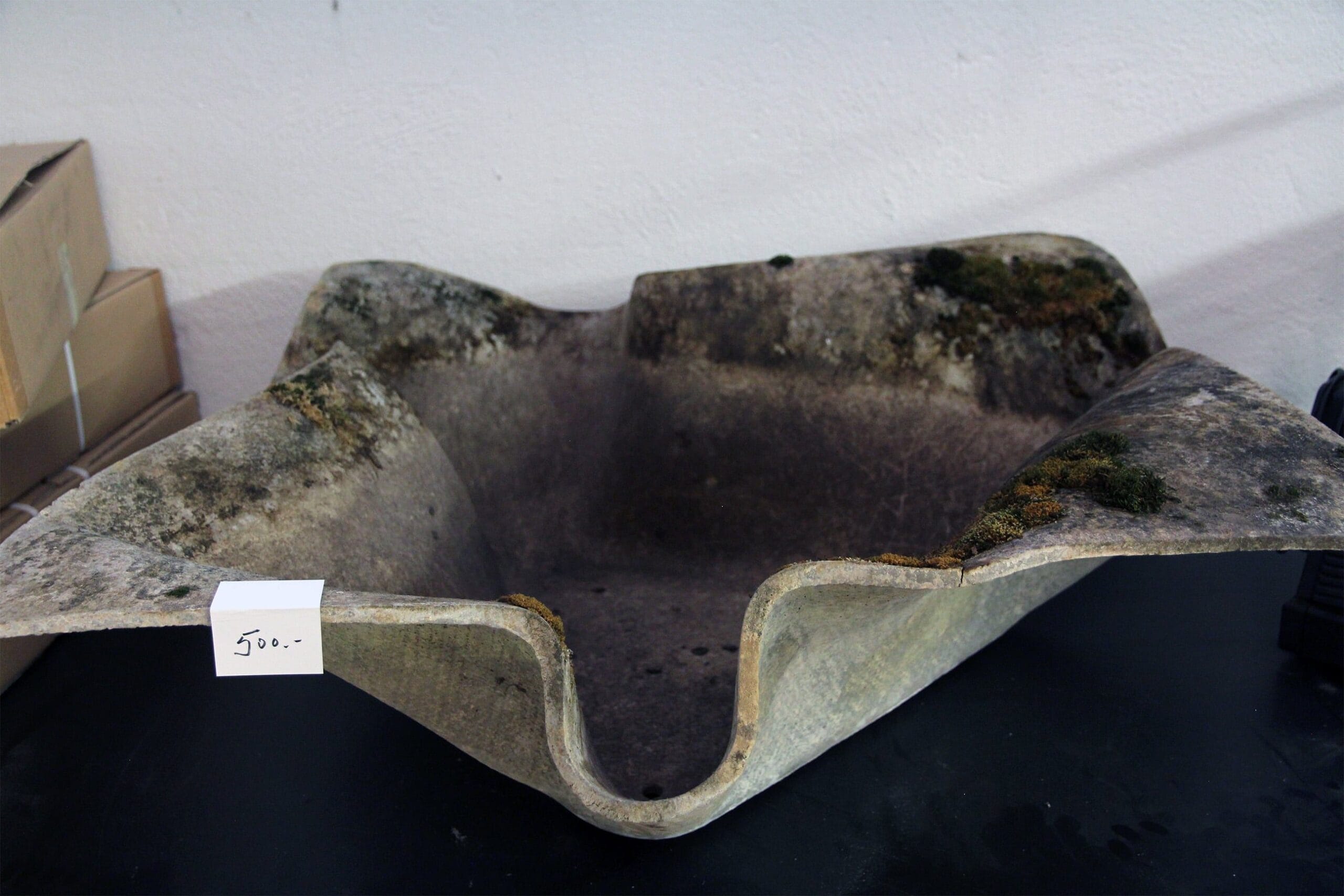 Eternit flower pot elephant ear